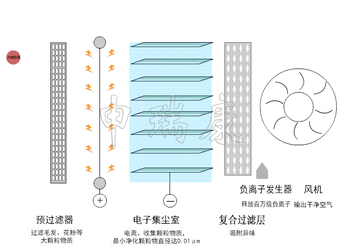 煙味凈化原理 煙味凈化原理